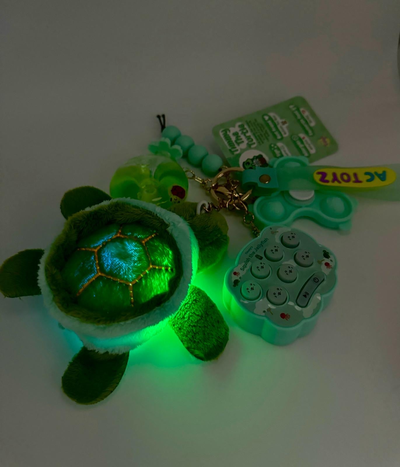 Timmy The Turtle Comfort Keychain 🐢